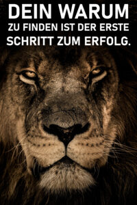 dein-warum-zu-finden-ist-der-erste-schritt-zum-erfolg